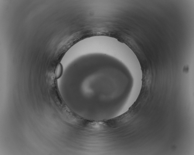 X0000114550427200911091200