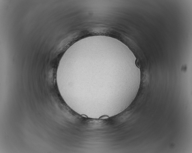 X0000114550428200911091200