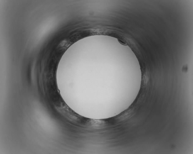 X0000114550429200911091200