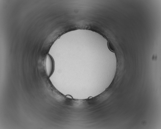 X0000114550432200911091200