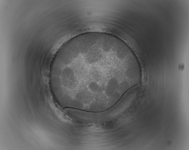 X0000114550434200911091159
