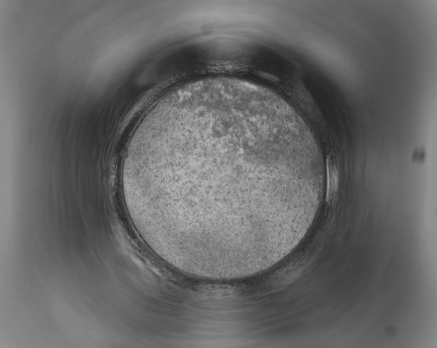 X0000114550435200911091159