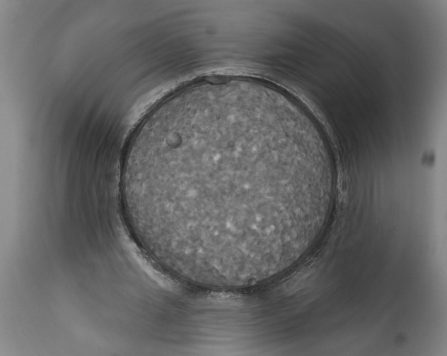 X0000114550437200911091159