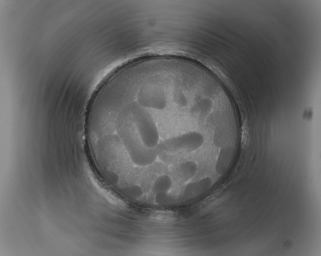 X0000114550438200911091159