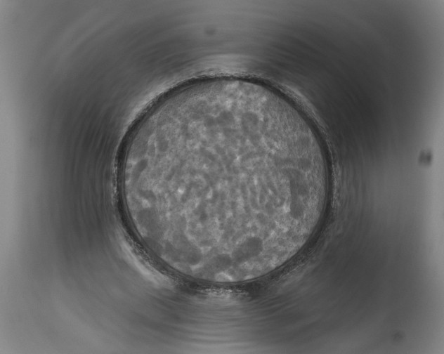 X0000114550439200911091159
