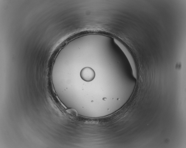X0000114550440200911091159