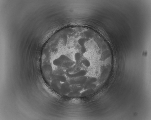 X0000114550441200911091159