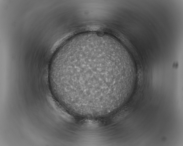 X0000114550442200911091159