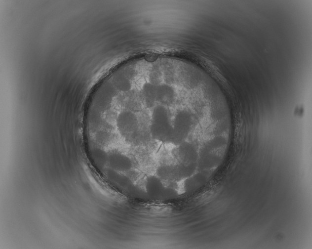 X0000114550443200911091159