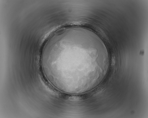 X0000114550444200911091159