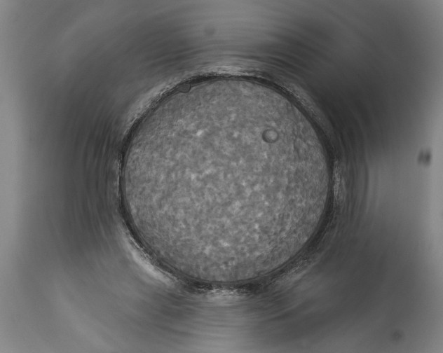 X0000114550445200911091159