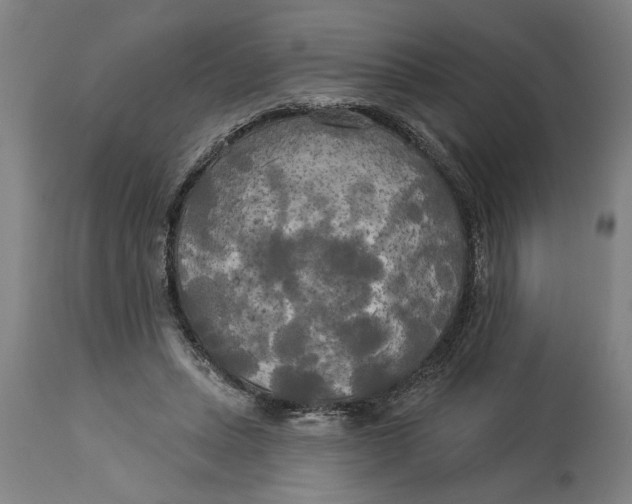 X0000114550447200911091159