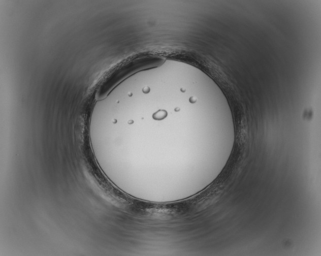 X0000114550448200911091159