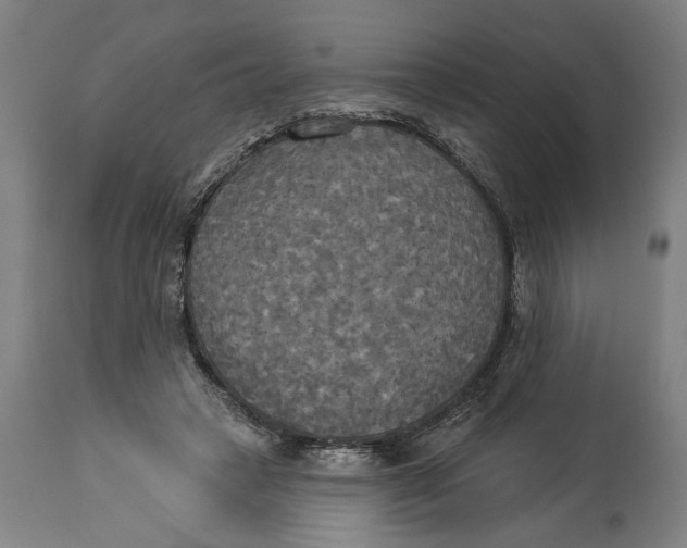 X0000114550449200911091159