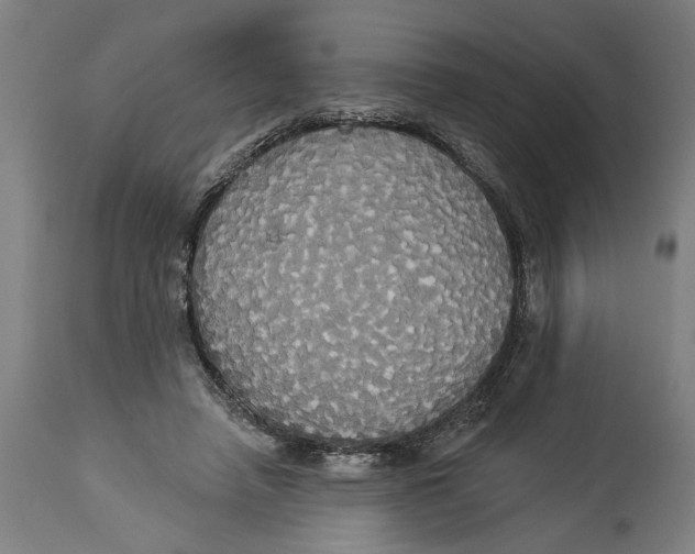 X0000114550450200911091159