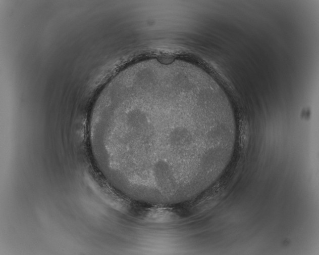 X0000114550451200911091159
