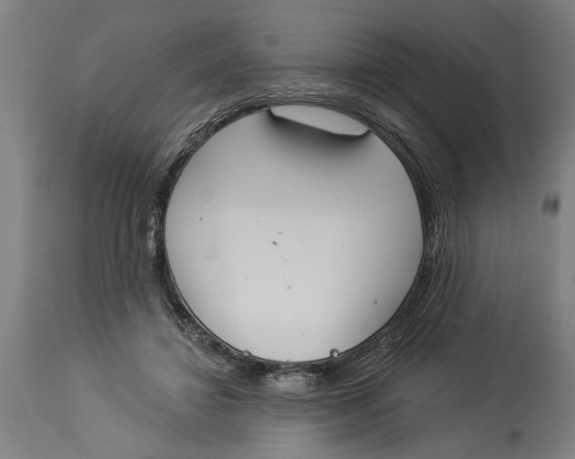 X0000114550452200911091159