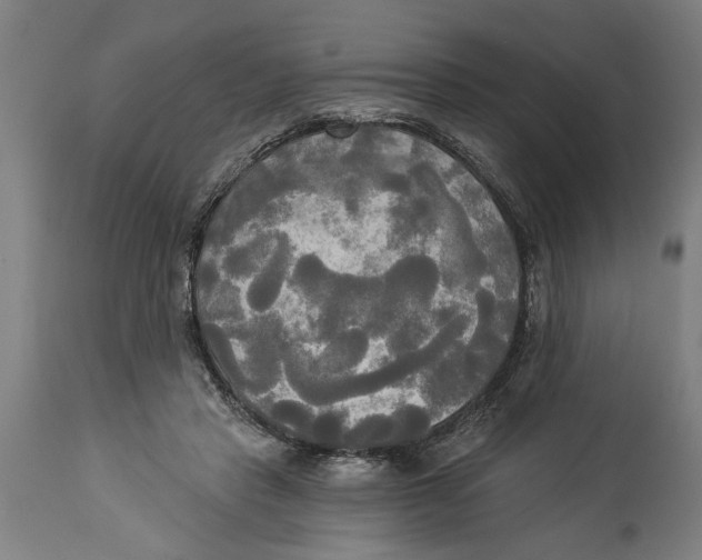 X0000114550453200911091159