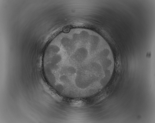 X0000114550454200911091159