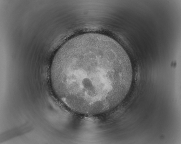 X0000114550455200911091159