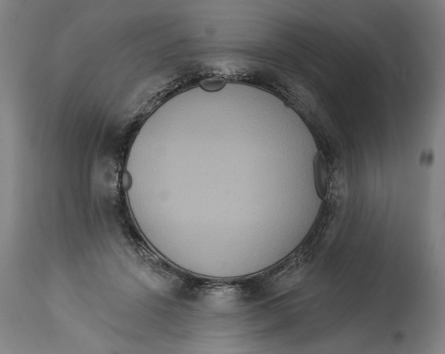 X0000114550456200911091159