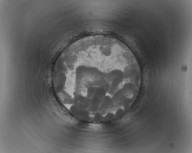 X0000114550457200911091159