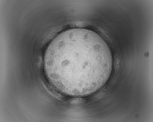 X0000114550459200911091159