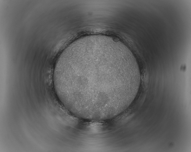 X0000114550462200911091159