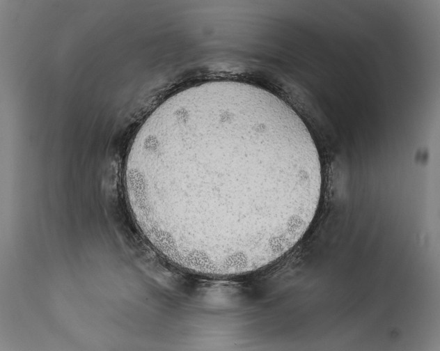 X0000114550463200911091159