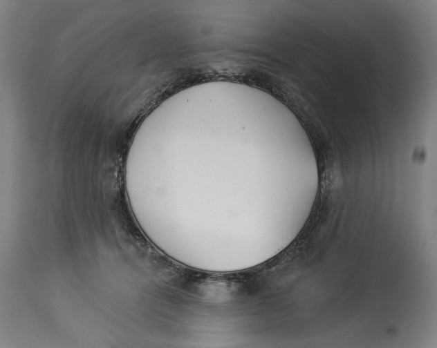 X0000114550464200911091200