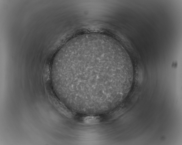 X0000114550465200911091200