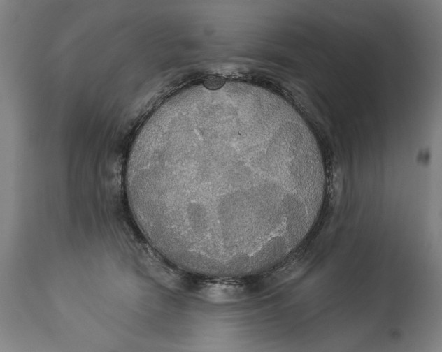 X0000114550466200911091200