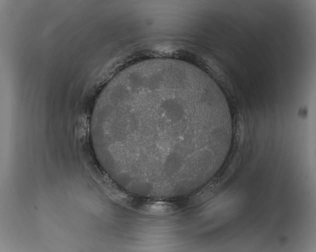 X0000114550467200911091200
