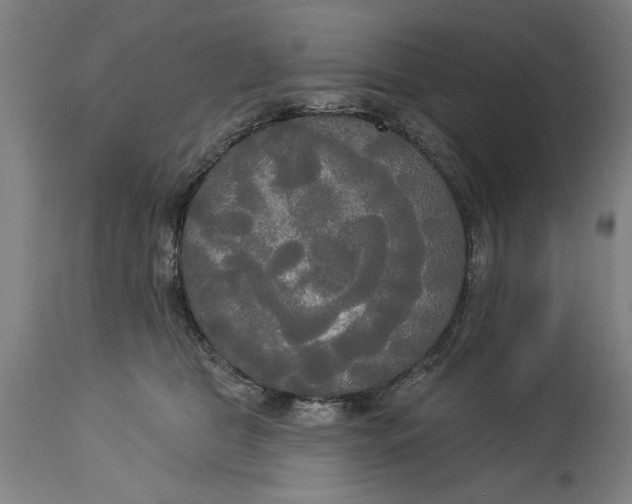 X0000114550469200911091200