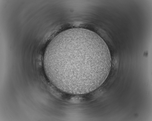 X0000114550470200911091200