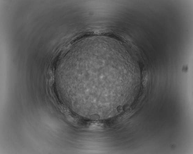 X0000114550471200911091200