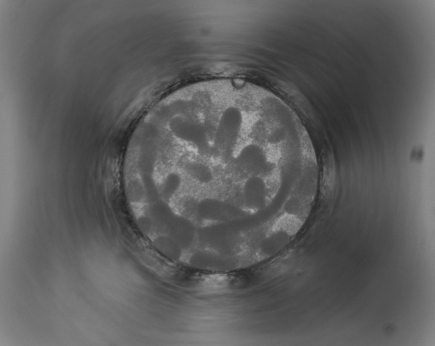 X0000114550473200911091200