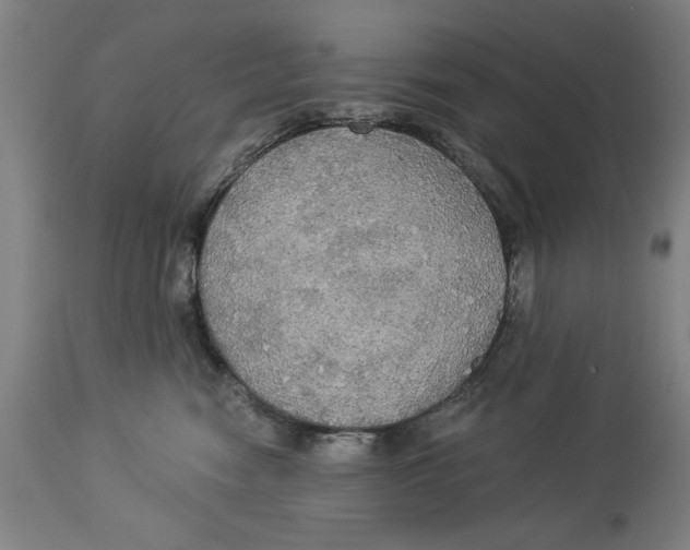 X0000114550474200911091200