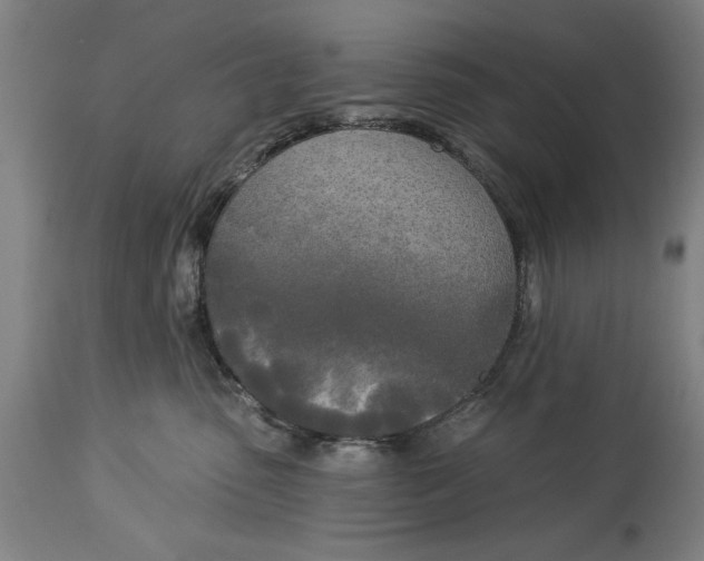 X0000114550475200911091200