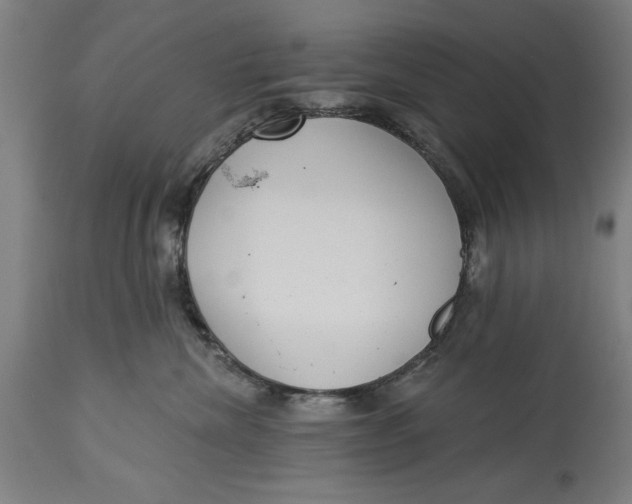 X0000114550476200911091200