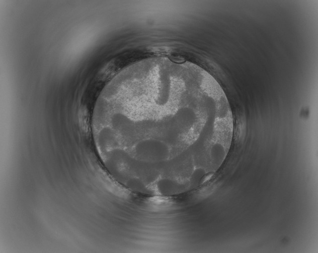 X0000114550477200911091200