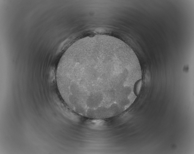 X0000114550478200911091200