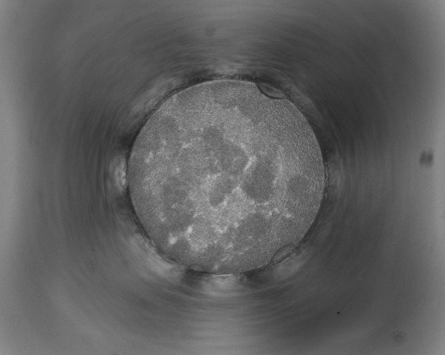 X0000114550479200911091200