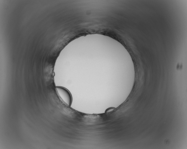 X0000114550480200911091200