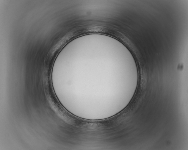 X0000114550482200911091159