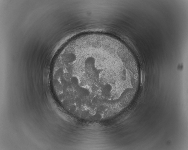 X0000114550483200911091159