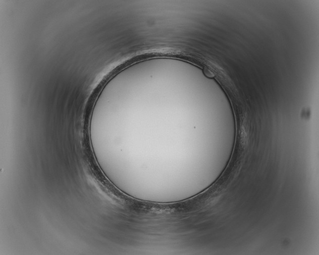 X0000114550484200911091159