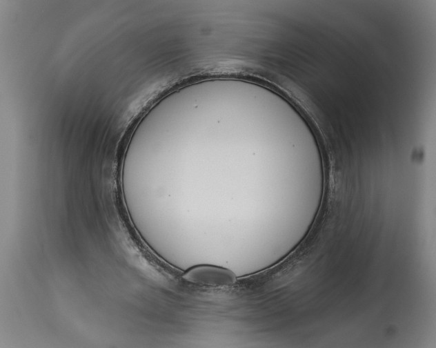 X0000114550485200911091159