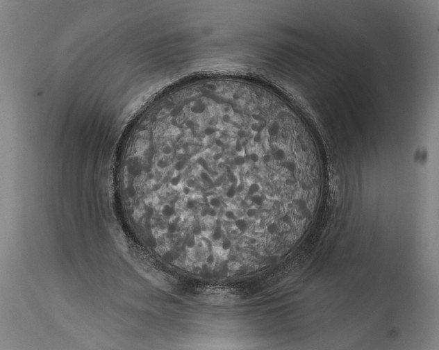 X0000114550487200911091159