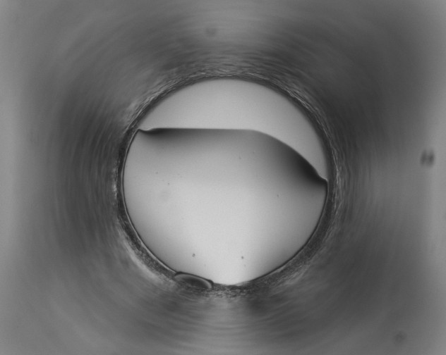 X0000114550489200911091159